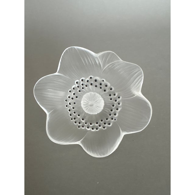 Lalique Glass Anenome Flower Paperweight For Sale In Tampa - Image 6 of 7