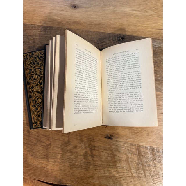Antique 1890s Lorna Doone 2-Volume Gilt Set With Original Dust Jackets - Pair For Sale - Image 9 of 16