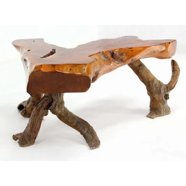 Organic Modern Driftwood Coffee Table For Sale - Image 10 of 11