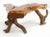 Organic Modern Driftwood Coffee Table For Sale - Image 10 of 11