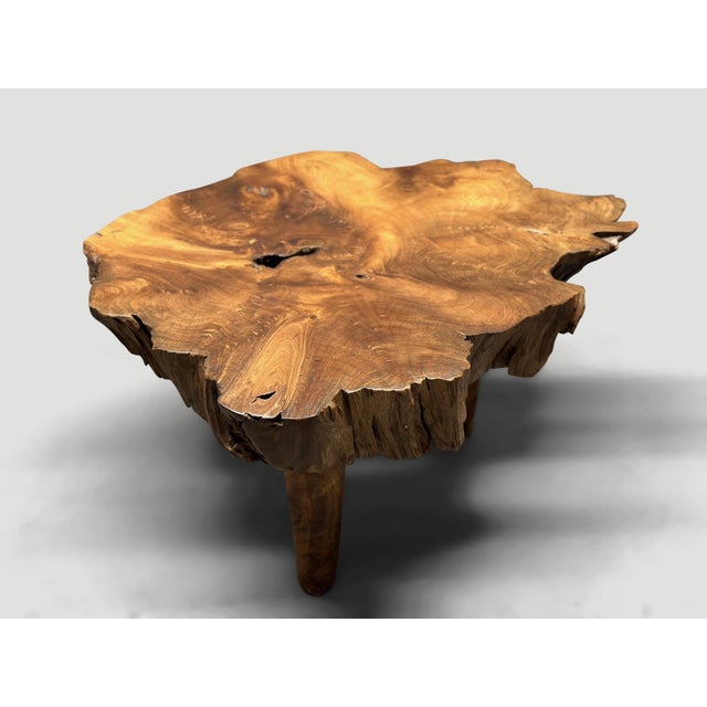Andrianna Shamaris Mid Century Style Live Edge Coffee Table For Sale - Image 10 of 18