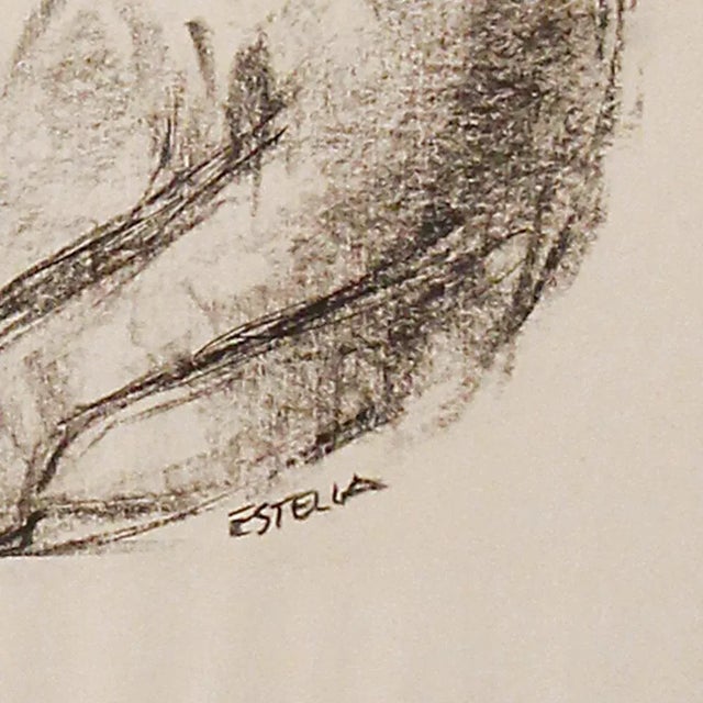 Estella Den Boer, Cat, 1970s, Charcoal Drawing For Sale - Image 5 of 6