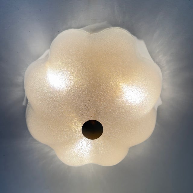 Mid-Century Modern Italian Glass Ceiling Lamp by La Murrina, 1970s For Sale - Image 3 of 18