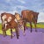 "Dairy Farm Cows" Original Contemporary Expressionist Landscape Oil Painting by Catherine J. Martzloff For Sale