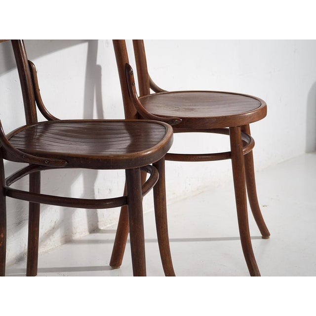 Bentwood Chairs attributed to Michael Thonet, 1940s, Set of 4 For Sale - Image 6 of 12