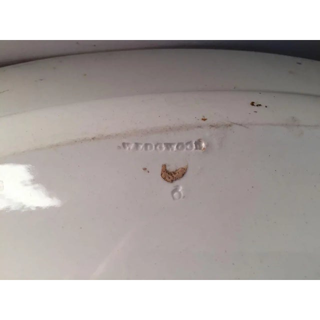 Giant early 19th c. Wedgwood creamware oval Turkey platter. Decorated with a red / orange band and brown rim. Measure 22...