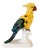 Vintage Large Italian Majolica Ceramic Cockatoo Parrot Sculpture For Sale
