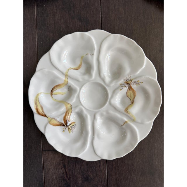 Ceramic Late 19th Century French Le Chambrelain Porcelain Hand-Painted Seaweed Oyster Plates - Set of 8 For Sale - Image 7 of 13
