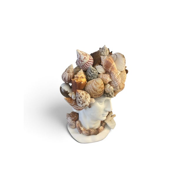 Grand Tour Style Shell-Encrusted Bust of David | Chairish