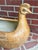 Terra Cotta Midcentury Folk Art Terracotta Fiberglass Chicken Hen Planter Pot For Sale - Image 8 of 12