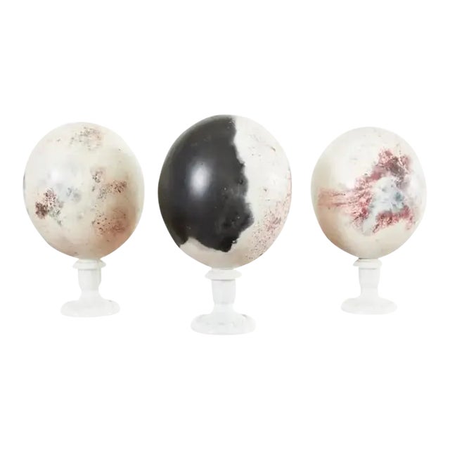 Set of Three Painted Dyed Ostrich Egg Specimens For Sale