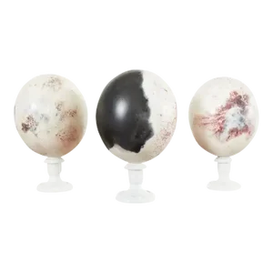 Set of Three Painted Dyed Ostrich Egg Specimens