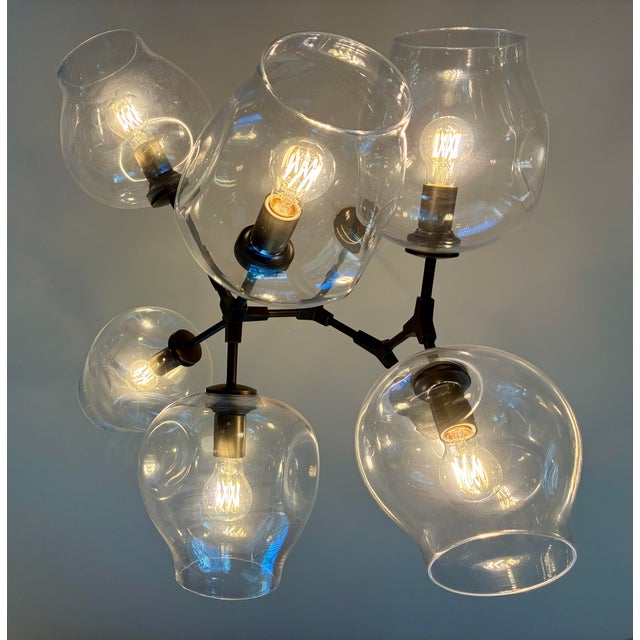 Metal Lindsey Adelman Studio Branching Bubble Chandelier, Model bb.07.59 For Sale - Image 7 of 7