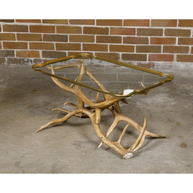 Mid 20th Century Antler and Glass Midcentury American Coffee Table with Gilded Surround For Sale - Image 10 of 12