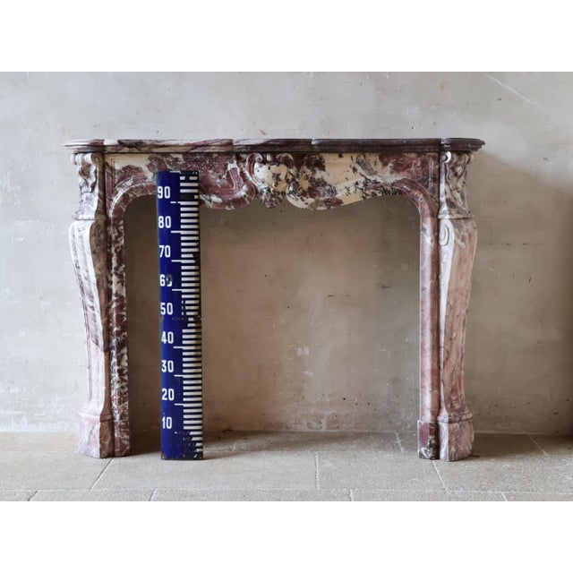 Antique Marble Trois Coquilles Fireplace in Violet de Villette For Sale - Image 14 of 18
