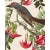 Introducing the Duchess Edition: a refined collection of Audubon Bird Giclée reproductions that elevate the timeless...
