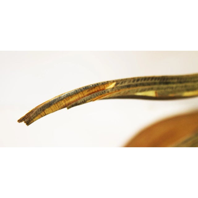 1970s Mid-Century Modern Hand Carved Bird of Paradise For Sale - Image 10 of 11