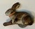 Lithographed Tinplate Clockwork Bunny Rabbit or Hare by the Automatic Toy Co. Staten Island, New York Circa 1930 For Sale - Image 13 of 18