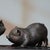 Vintage Pair of Gilt Bronze Pig Figures - Chinese Zodiac Sculptures For Sale - Image 4 of 9