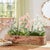 Kenneth Ludwig Chicago Mini Mum Floral Bush (Set of 4) For Sale - Image 4 of 6