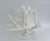 Massive Natural Branch Coral Specimen on Acrylic Base For Sale In Los Angeles - Image 6 of 7