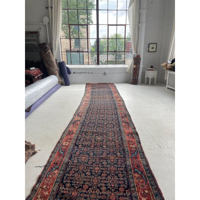 Antique Halvai Bidjar with Growing Vine Border Rug 4 x 20.3 For Sale - Image 10 of 14