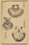 A curated pair of Japanese natural history shell studies reproduced from Banshō Shashin Zufu, the celebrated nineteenth-...