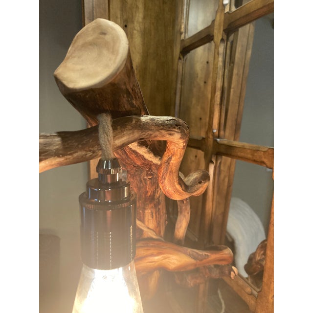 Tree Table Lamp With Live Edge Base and Root Upper. For Sale - Image 10 of 16