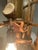 Tree Table Lamp With Live Edge Base and Root Upper. For Sale - Image 10 of 16