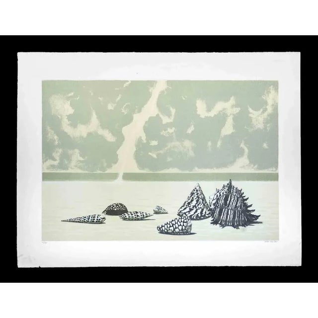 Lithograph on Magnani-Pescia paper. Paper size 60cmx80cm, work size 47cmx68cm. Excellent condition, no defects. Gino Guida...