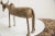 Vintage African Bronze Wildebeest For Sale In New York - Image 6 of 9
