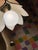 1960s VTG 1960s MCM Lt. Pink Tulip-Shaped Corded Swag Pendant Light W/Extra Long Chain For Sale - Image 5 of 7