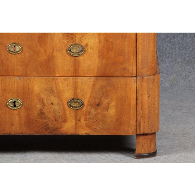 Ancient Biedermeier Walnut Chest of Drawers, 1850s For Sale - Image 17 of 18