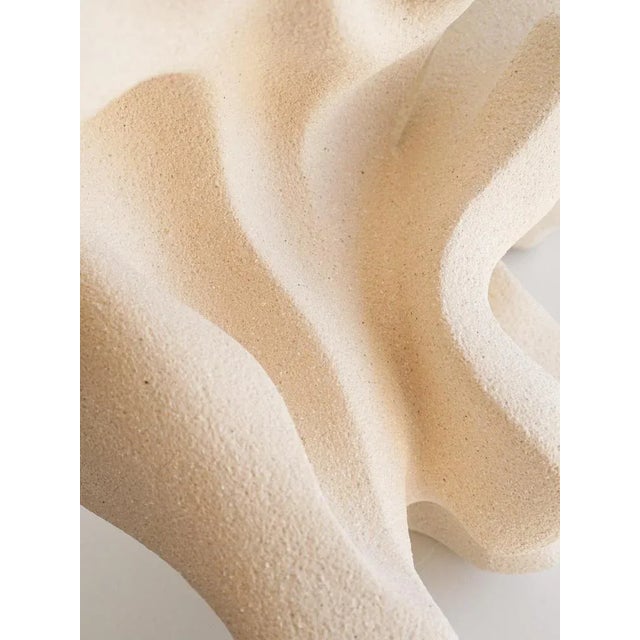 Ceramic Floating Echo Sculpture in Stoneware Clay by Aleksandra Krasnopolska For Sale - Image 13 of 14