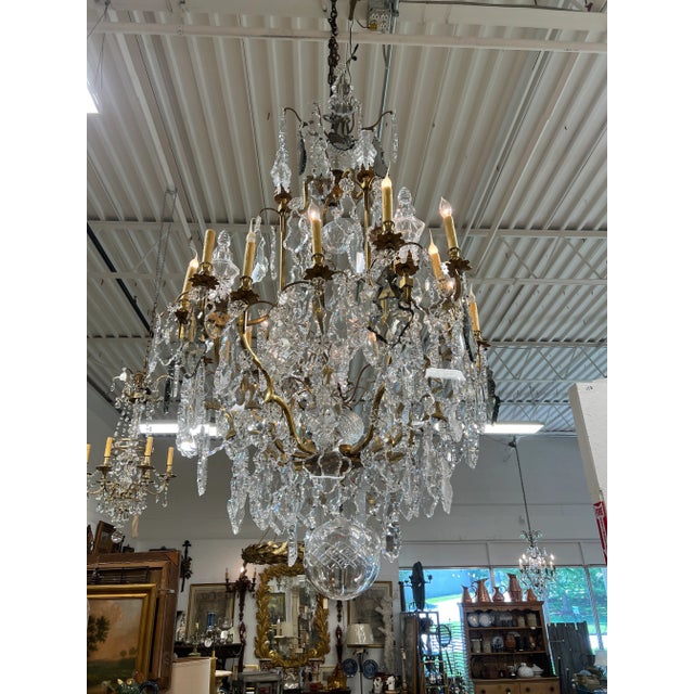 Palatial 19th Century French Louis XV Style Gilt Bronze and Crystal 16 ...