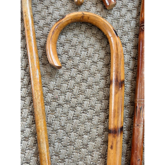 Mid 20th Century Mid 20th Century Rustic Estate Wood Bamboo Walking Canes - Set of 5 For Sale - Image 5 of 17
