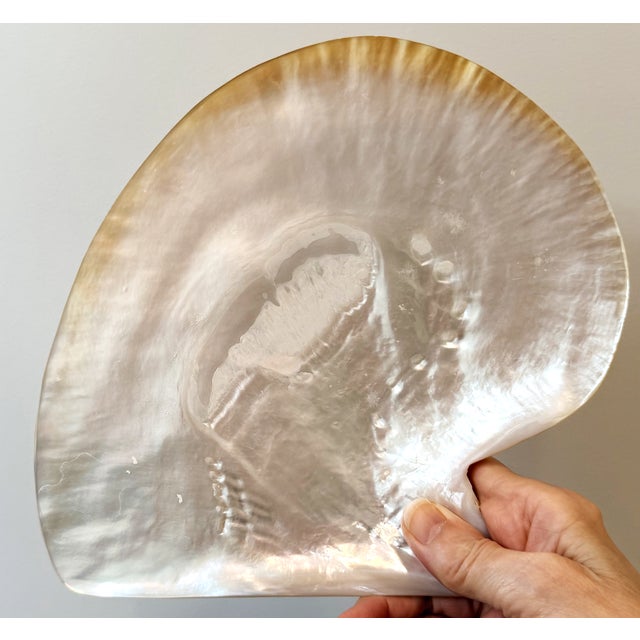 Vintage Mother of Pearl Caviar Dishes and Spoons For Sale - Image 4 of 16