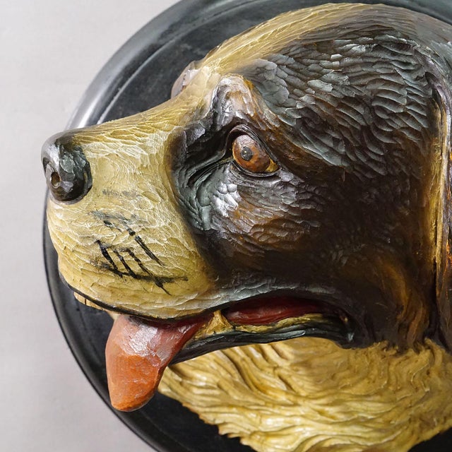 Wood Antique Carved Wall Sculpture of a Hunting Dog’s Head, Ca. 1900s For Sale - Image 7 of 7