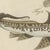 Bertuch, Lionfish, Chimaera, Scorpionfish and Boxfish, 1805, Print For Sale - Image 9 of 12