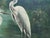 Mid-Century Modern Vintage Original Signed by B. Steve For Sale - Image 3 of 7