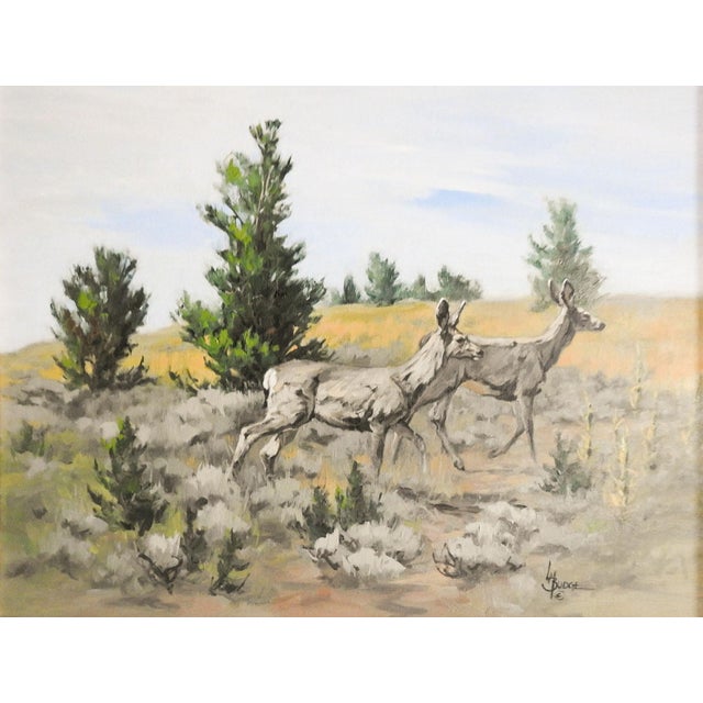 Late 20th century impressionist oil on canvas of mule deer by award winning wildlife artist Linda Budge (20th-21st...
