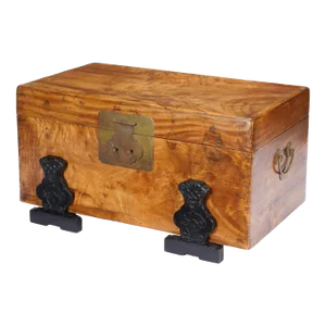 Chinese Camphor Wood Trunk on Ebonized Hardwood Stand, 1820