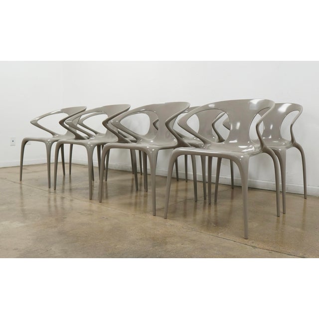 Roche Bobois Roche Bobois Ava Dining Chairs (Set of 8) For Sale - Image 4 of 16
