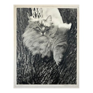 Paul Dunckhorst "Oscar" Original Black & White Photograph c.1943 – Exhibited at the Fourth Annual North American Salon For Sale