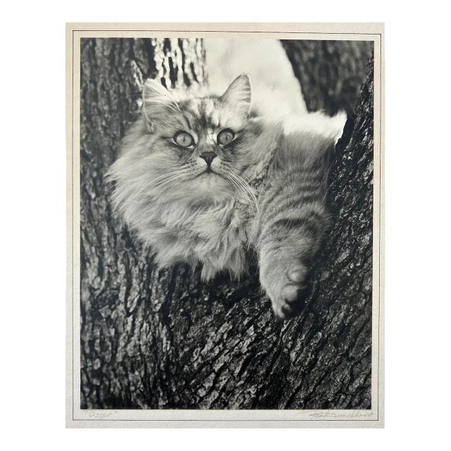 Paul Dunckhorst "Oscar" Original Black & White Photograph c.1943 – Exhibited at the Fourth Annual North American Salon For Sale