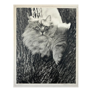 Paul Dunckhorst "Oscar" Original Black & White Photograph c.1943 – Exhibited at the Fourth Annual North American Salon