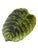 Forest Green Antique Fern Majolica Dish Platter from Sarreguemines, 1890 For Sale - Image 8 of 8