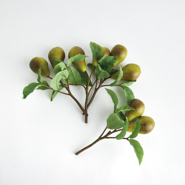 Realism Pear Picks 9.5" St/4 For Sale - Image 3 of 7