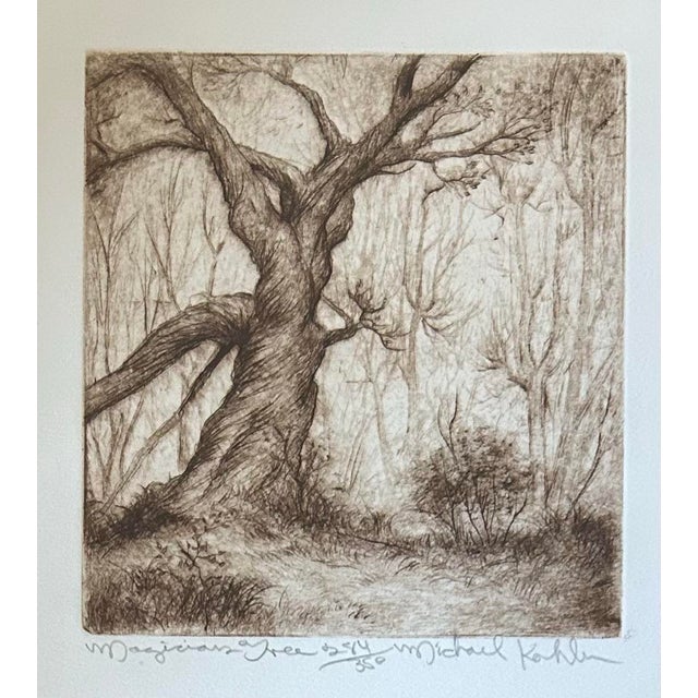 1980s Vintage Etching Entitled ‘Magicians Tree’s’ by Michael Kohler Matted and Framed For Sale - Image 5 of 7