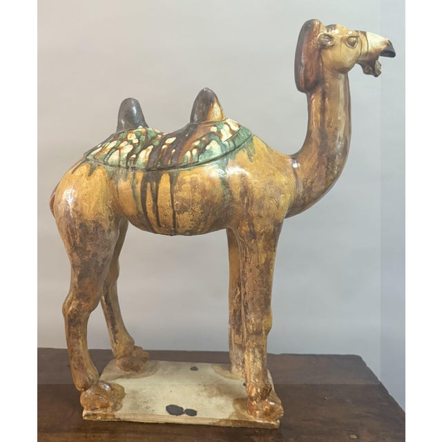 Pair of 19th Century Chinese Glazed Pottery Camel Figures For Sale - Image 11 of 17